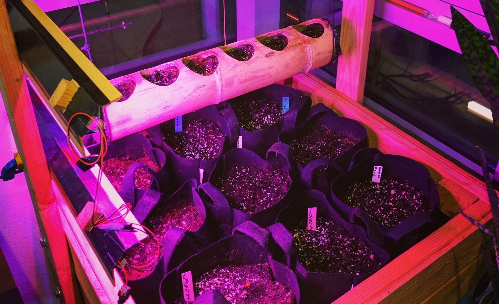 Responsive Indoor Planter